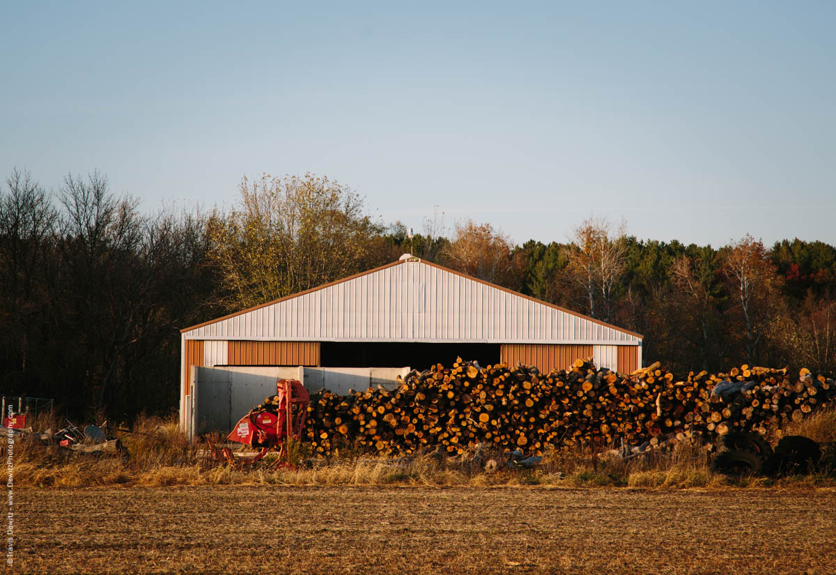 caryville-wi-logging-business