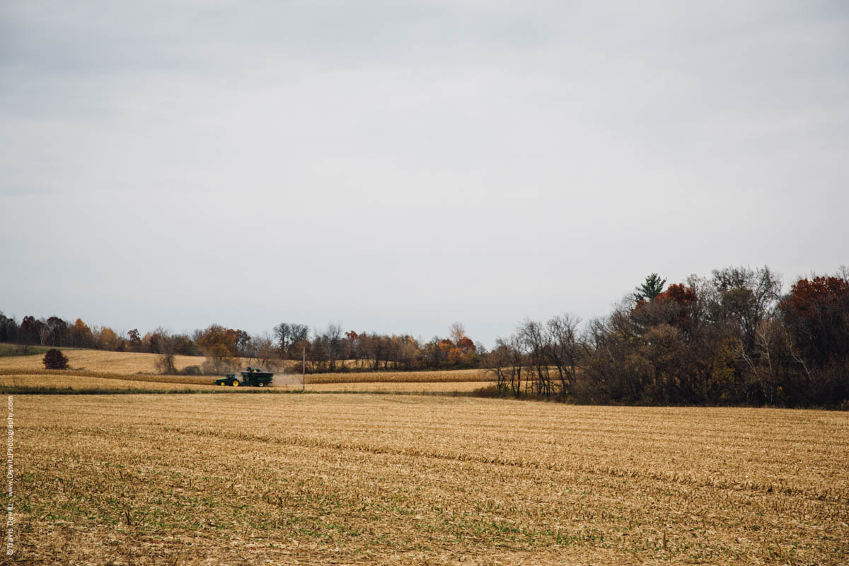 harvesting-corn-field-falls-city-wi-historic-city