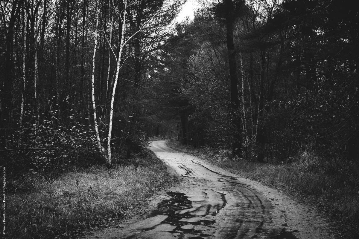 curvy-road-through-woods-elk-lake-wi-historic-city