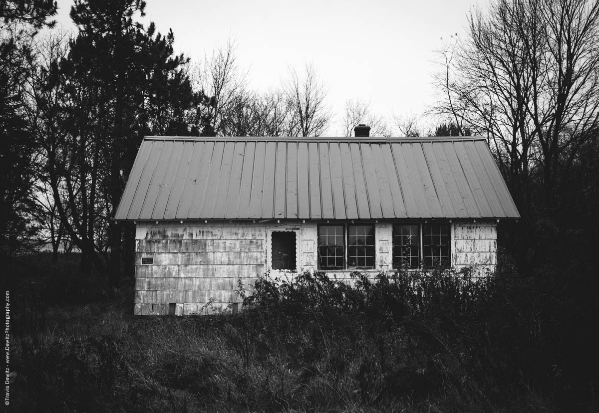 house-in-the-weeds-elk-lake-wi-historic-city