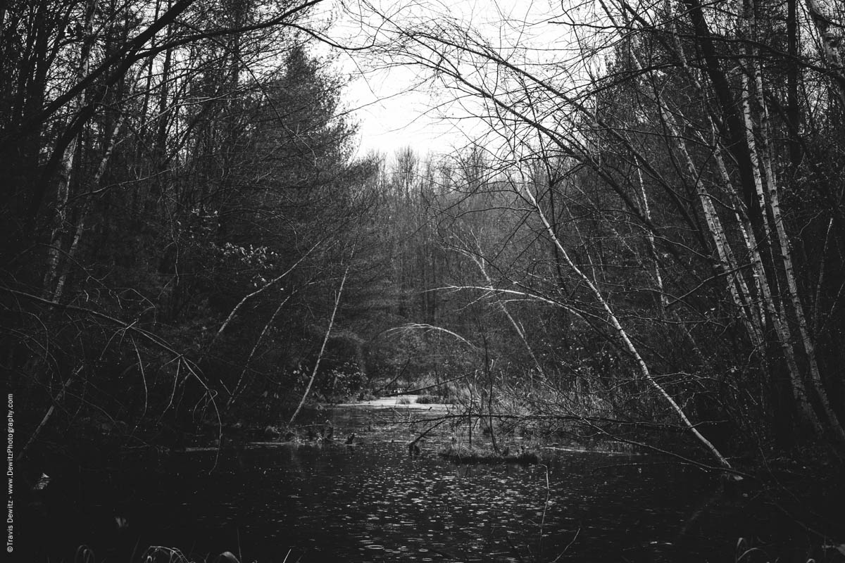 marshy-area-elk-lake-wi-historic-city