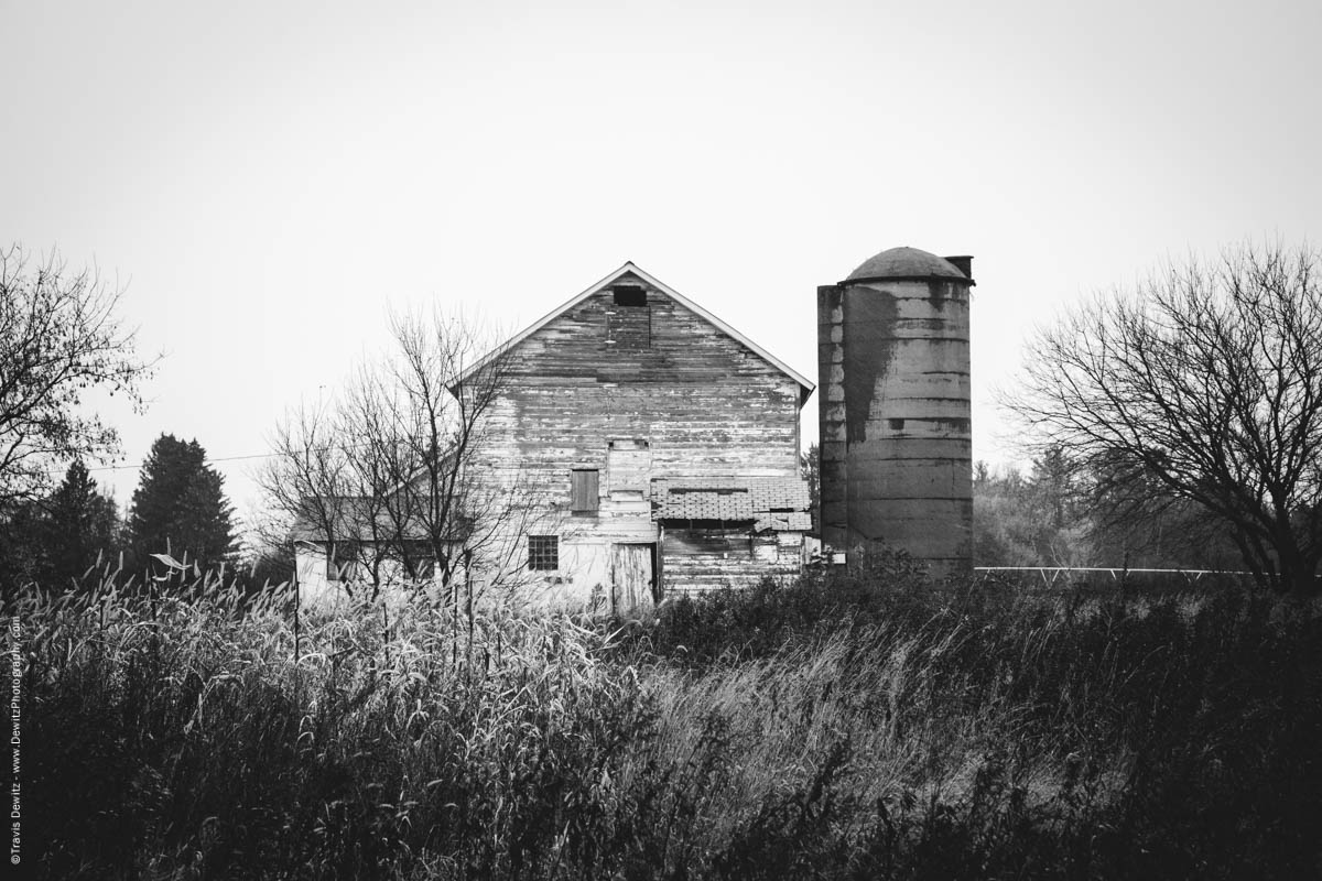 old-white-barn-in-weeds-elk-lake-wi-historic-city