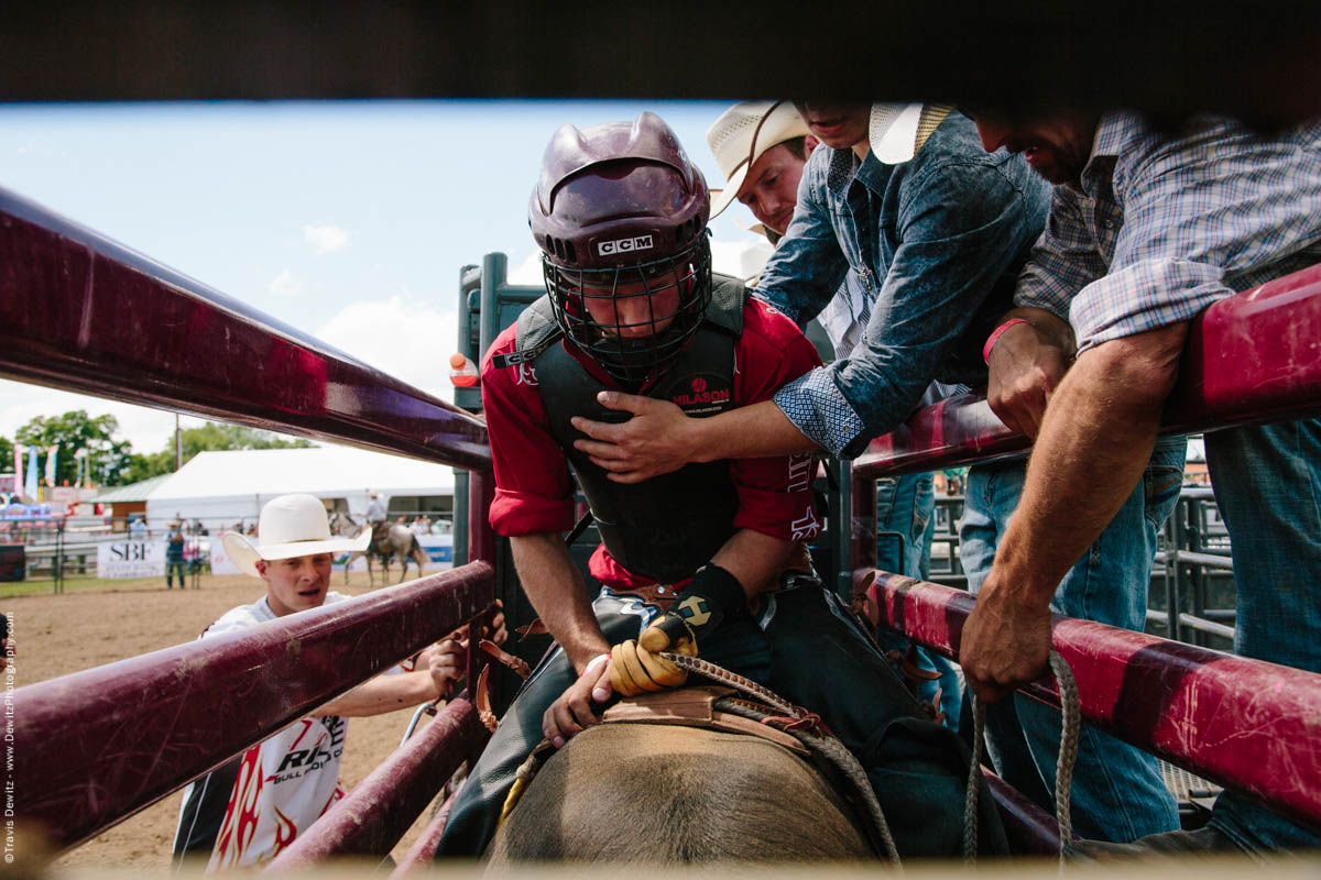 1-Bull Rider Gets Ready in Chute-3088