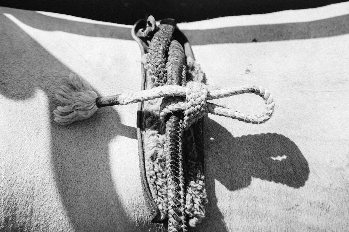 10-Bull Rope Tied Knot-3241