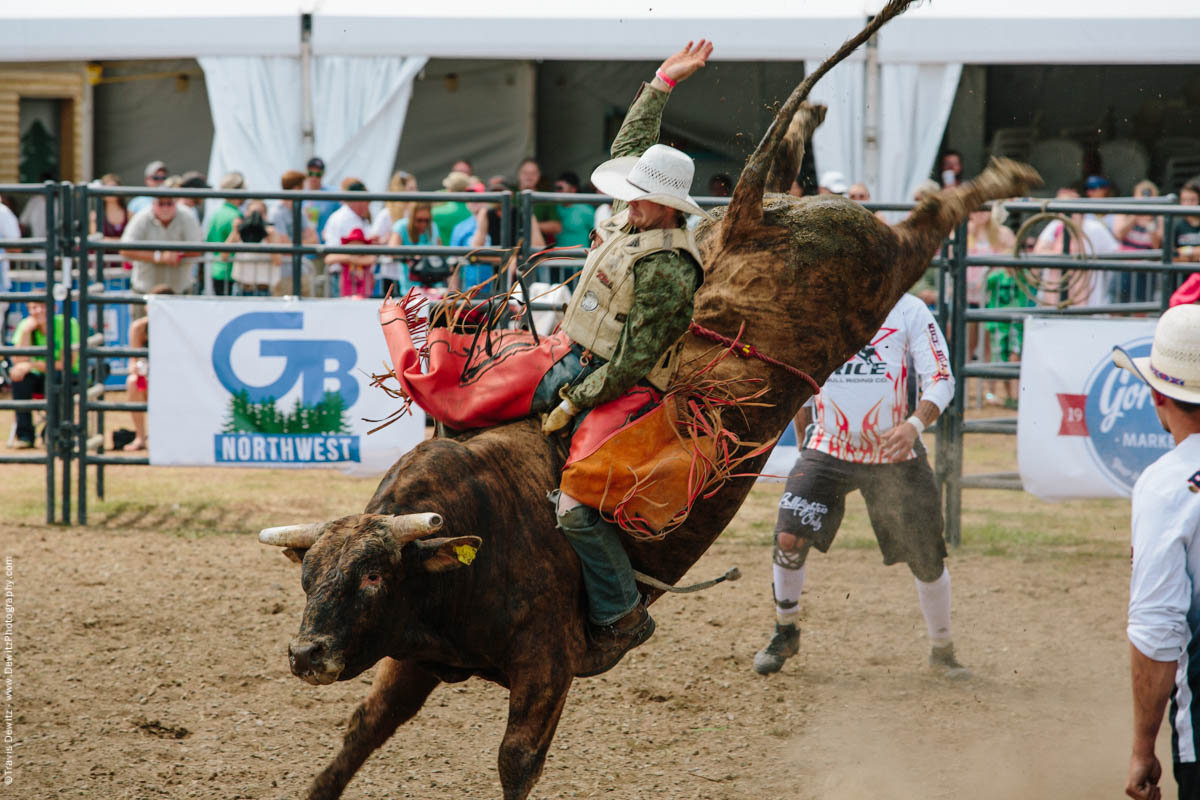 Action Shot of Bull Riding-2991