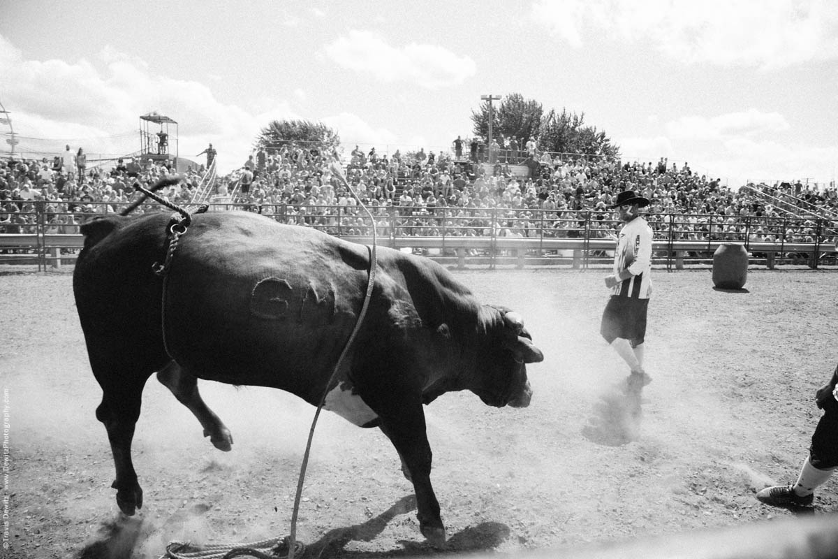 Aggressive Bull and Bullfighters-3122