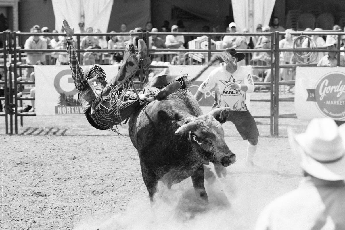 Bull Rider Flying Off Bull in Arena-3002