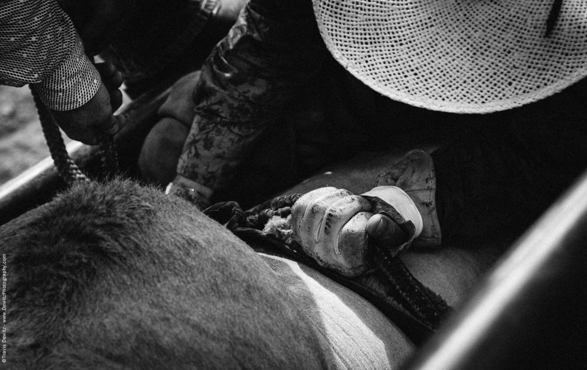 Bull Rider Tightens Bull Rope on Leather Glove-3311