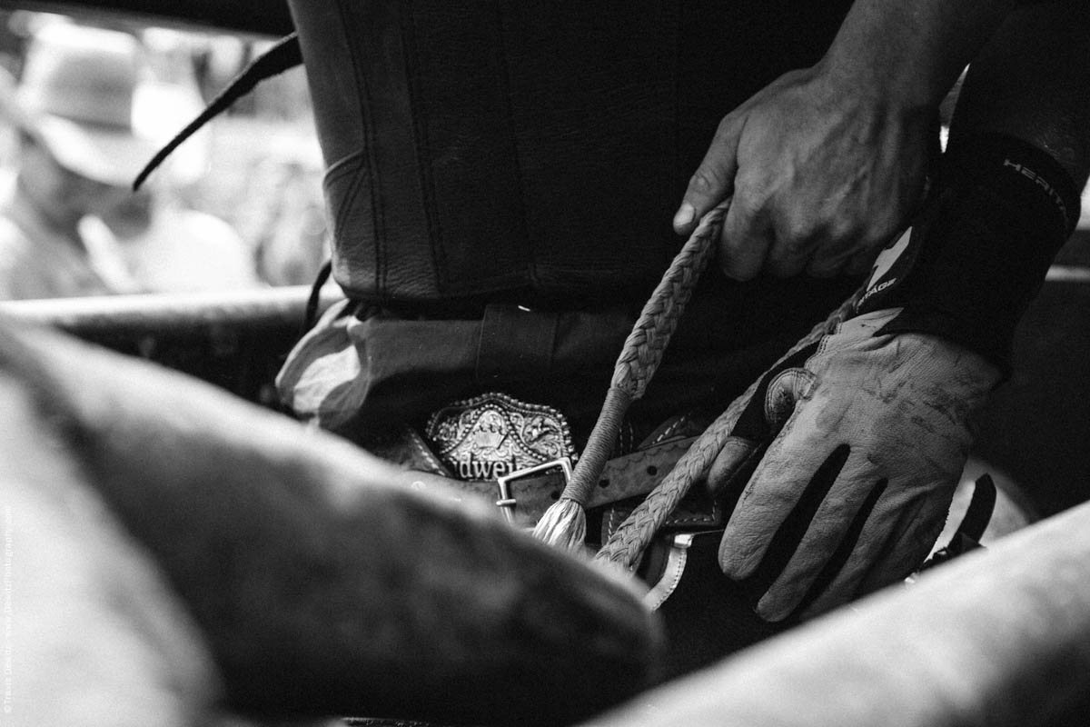 Bull Rider With Budweiser Belt Buckle-3045