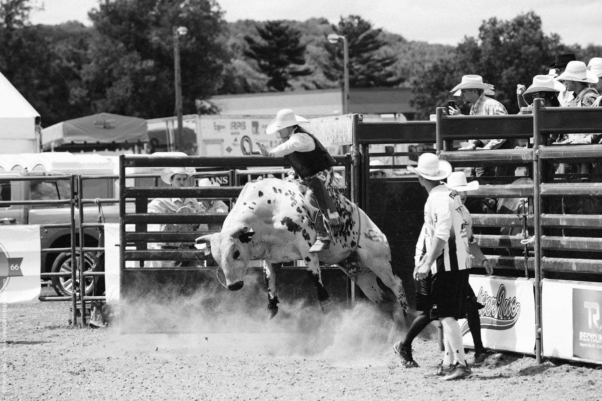 Bull Rider out of the Gate White Bull-2818