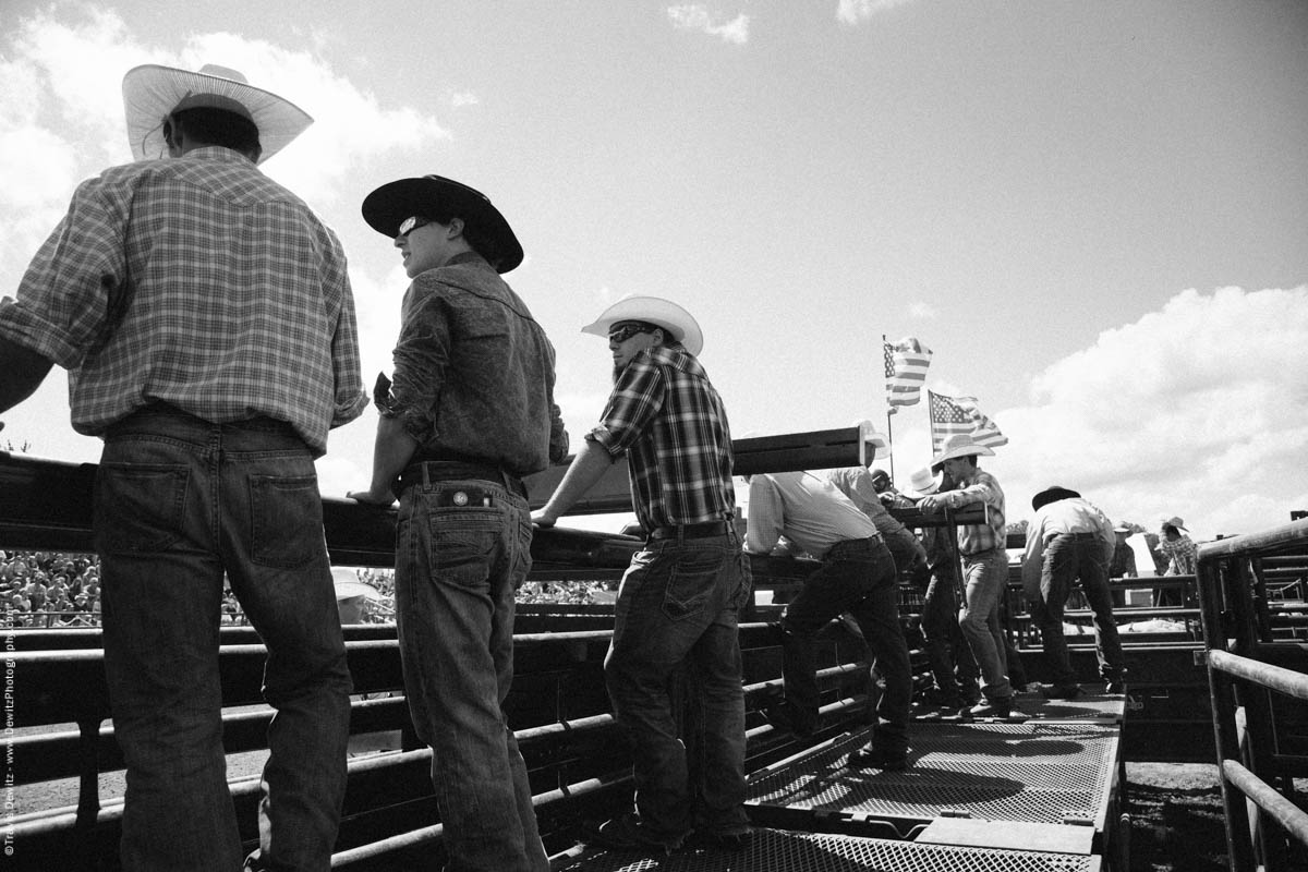 Bull Riders in Cowboy Hats Look On-3126