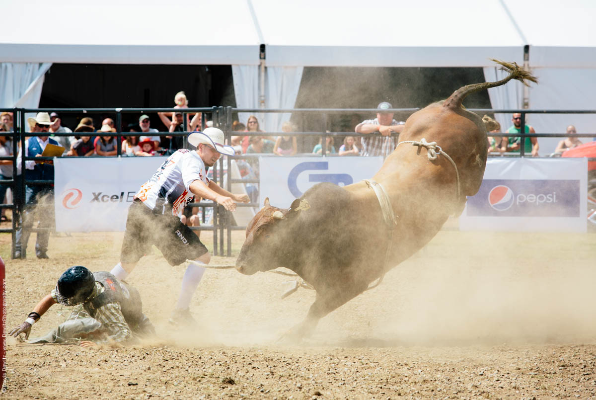 Bull Throws Rider Kicking in Air-2801