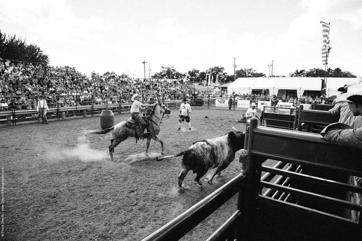 Cowboy Lassos Running Bull-3196