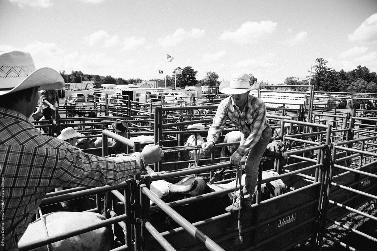 Cowboy Putting on Bull Rope-3219