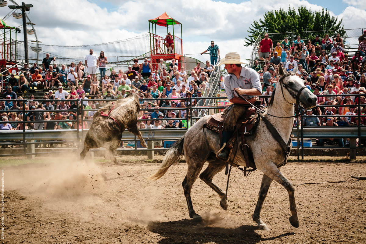 Cowboy Ropes Muscular Angry Jumping Bull-3080