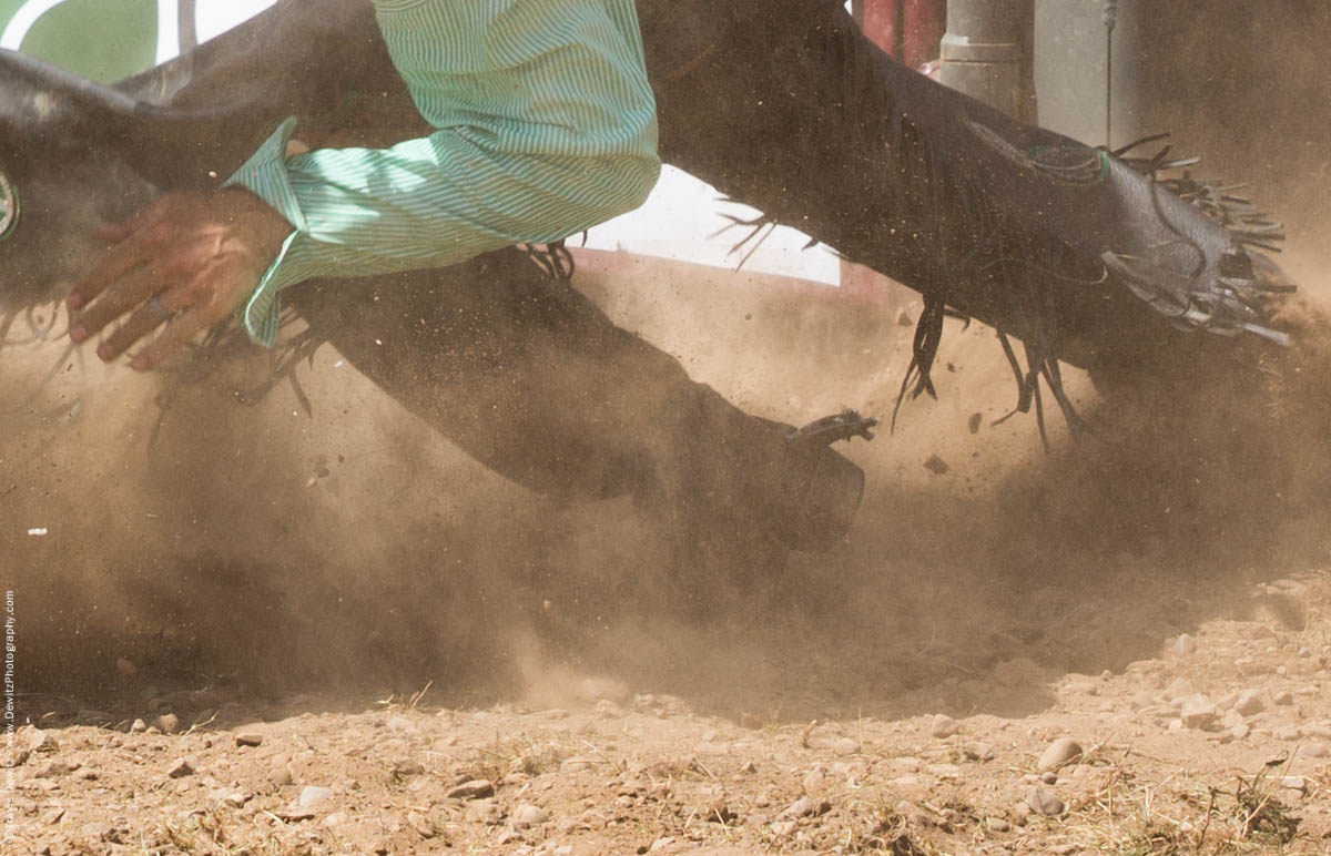 Falling Bull Rider with Chaps Kicks Up Dust and Dirt-2837