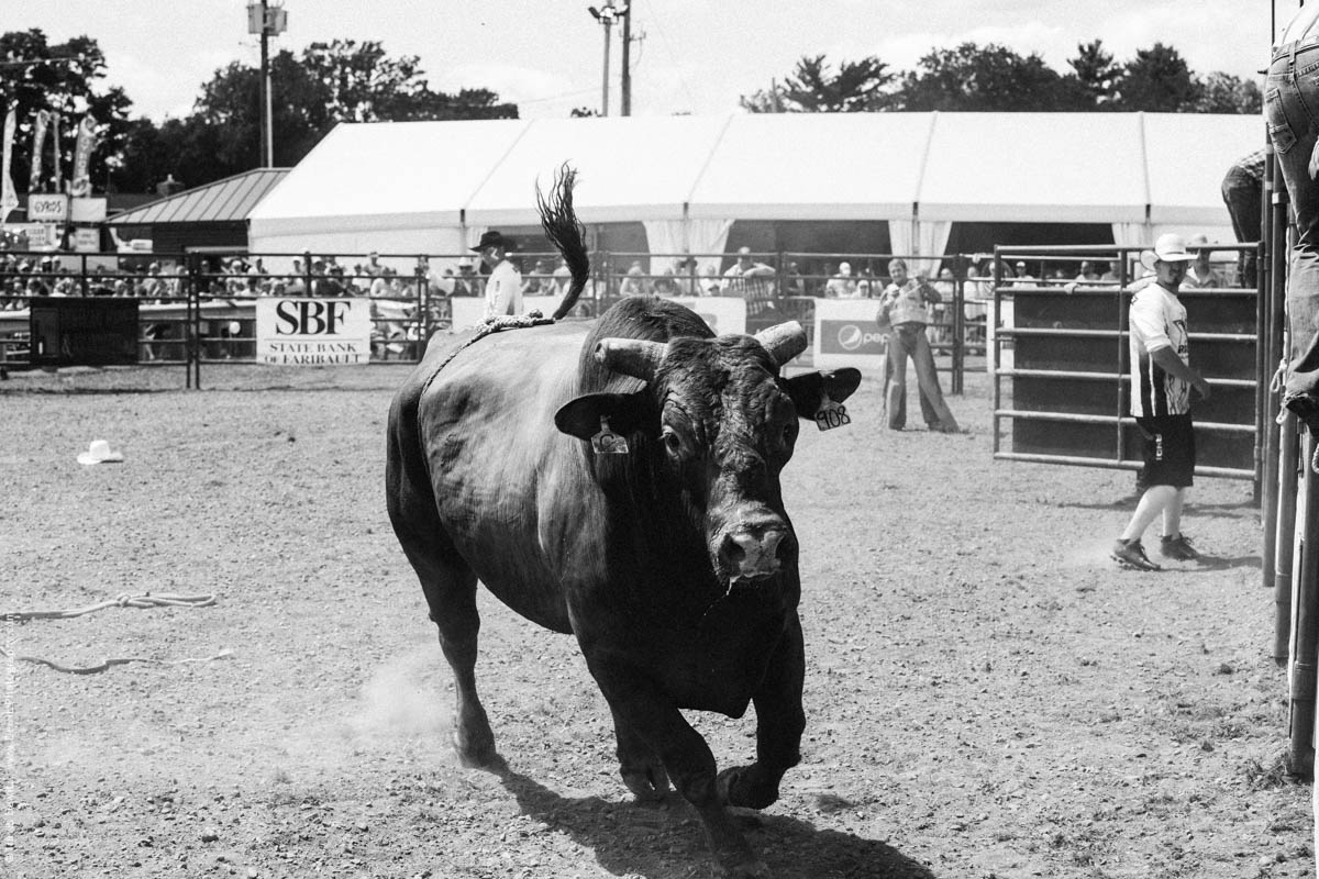 Mean Running Bull-2885