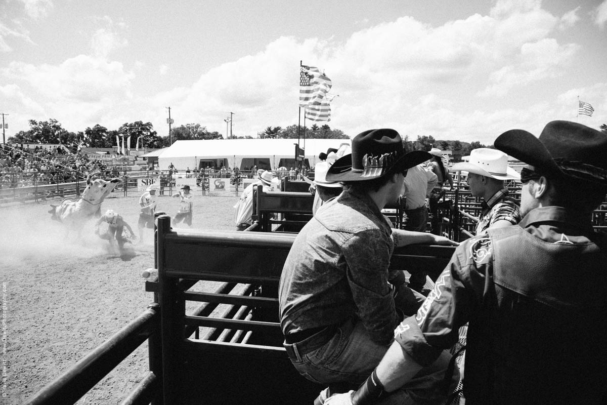 Rice Bull Riding Arena Action-3153