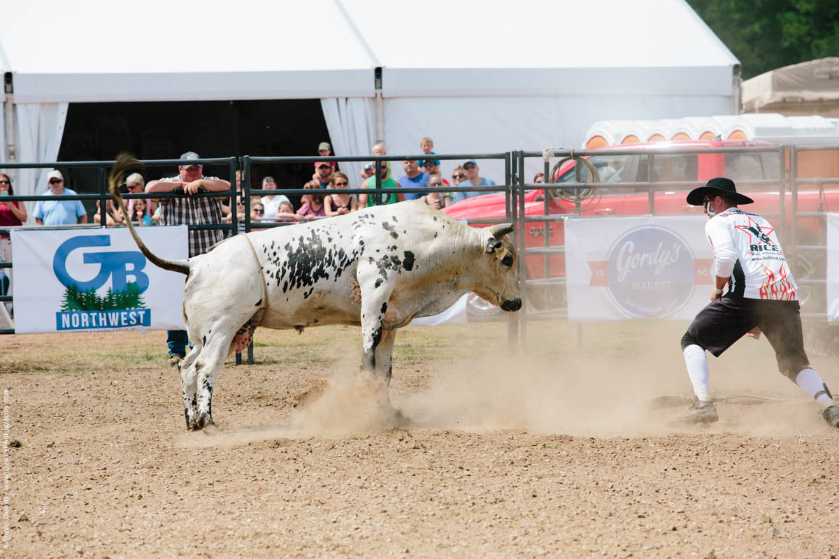 Strong Posed Bull in Dusty Arena-2823