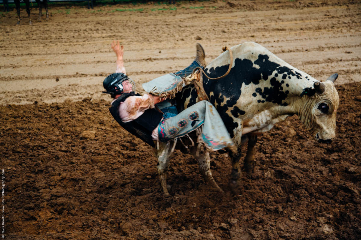 bull-rider-falls-off-spotted-bull-into-mud-4738