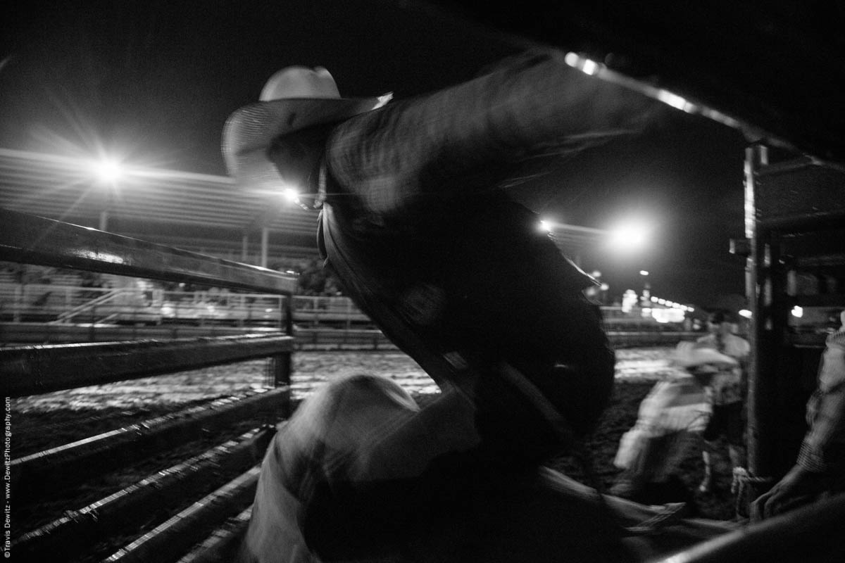 bull-rider-flies-out-of-chute-blur-5377