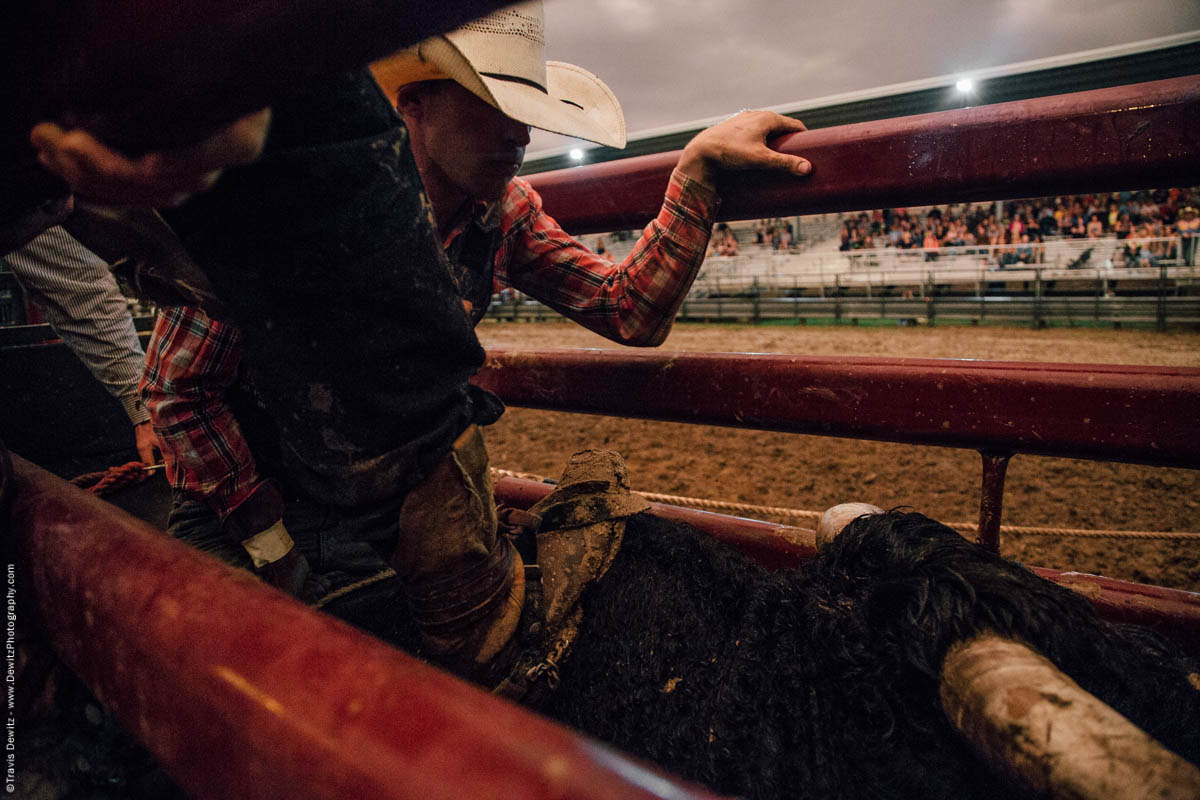 chute-gate-about-to-open-bull-riding-5077