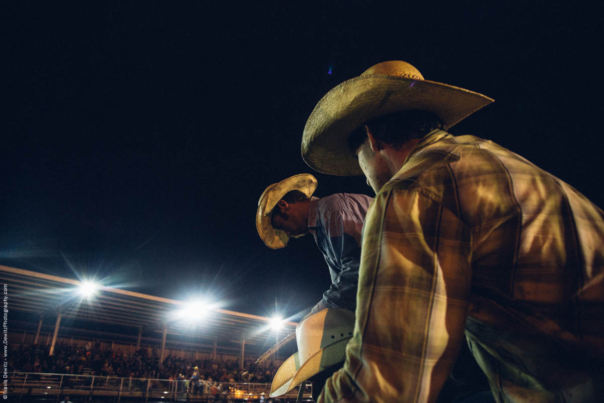 chute-men-prepare-rodeo-bull-rider-5336