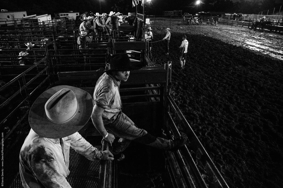 cowboys-in-chutes-at-night-time-rodeo-5208