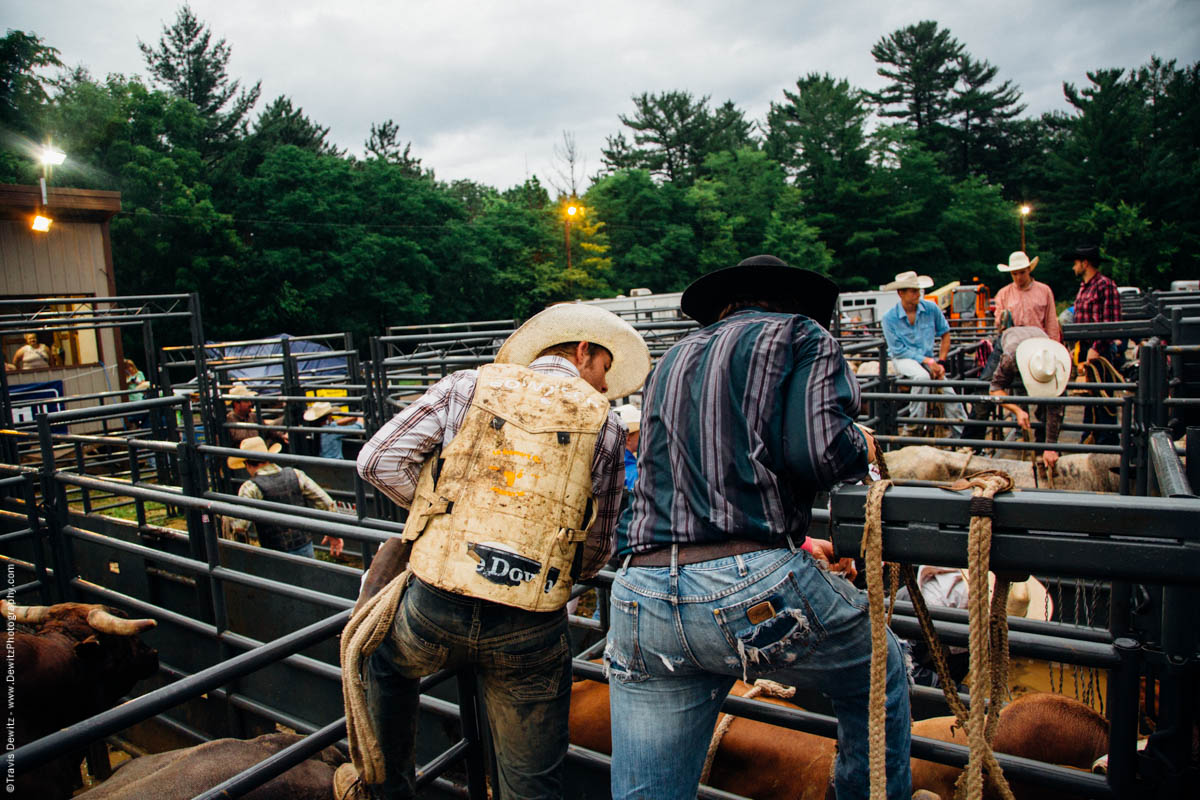 cowboys-inspect-riding-bulls-4559