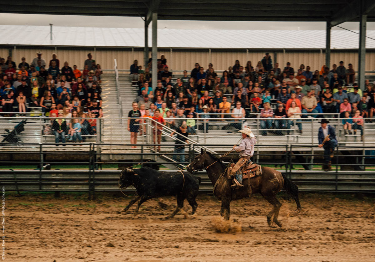 mud-flies-from-horse-roping-bull-4944