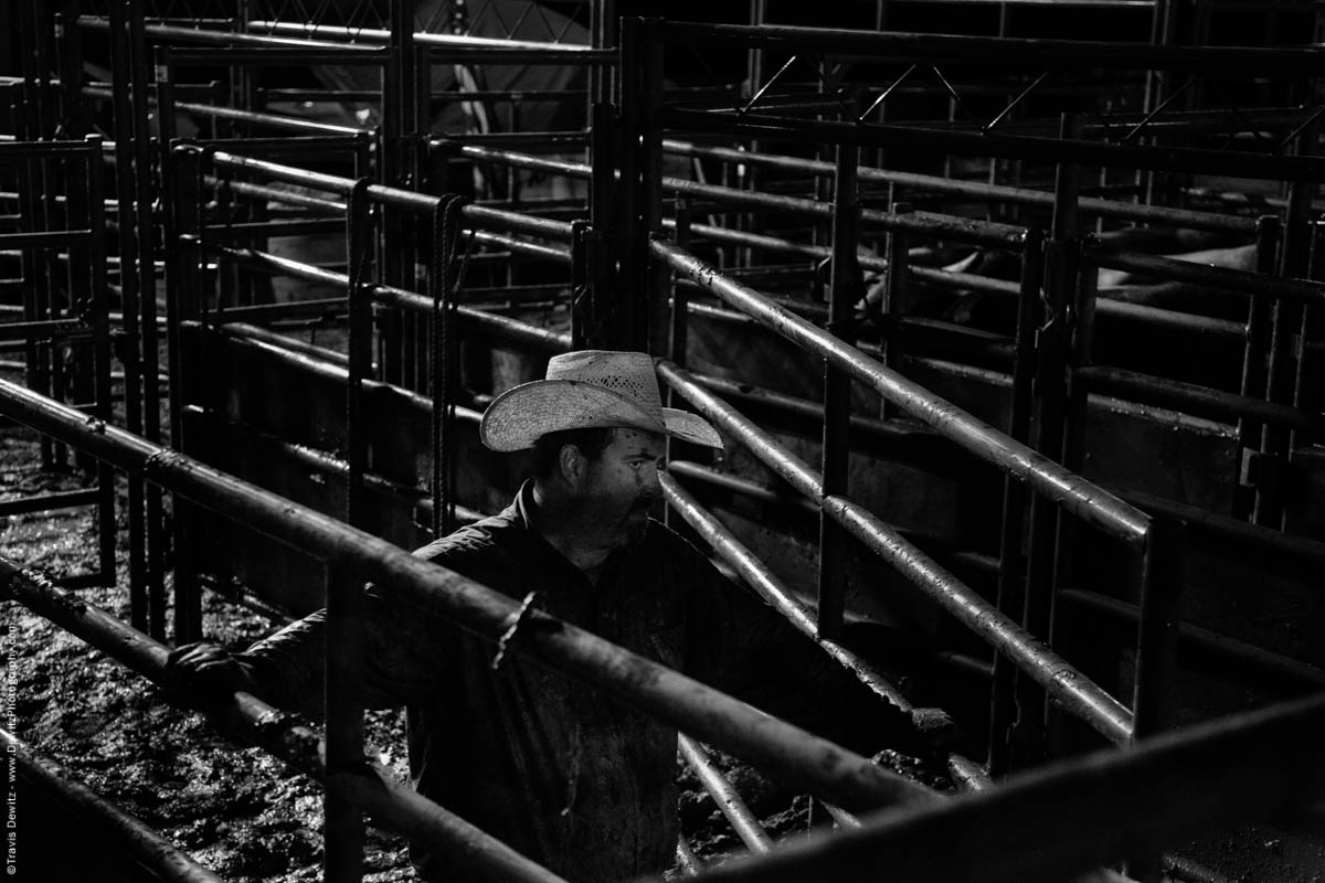 pen-man-watches-rodeo-show-in-the-dark-5601