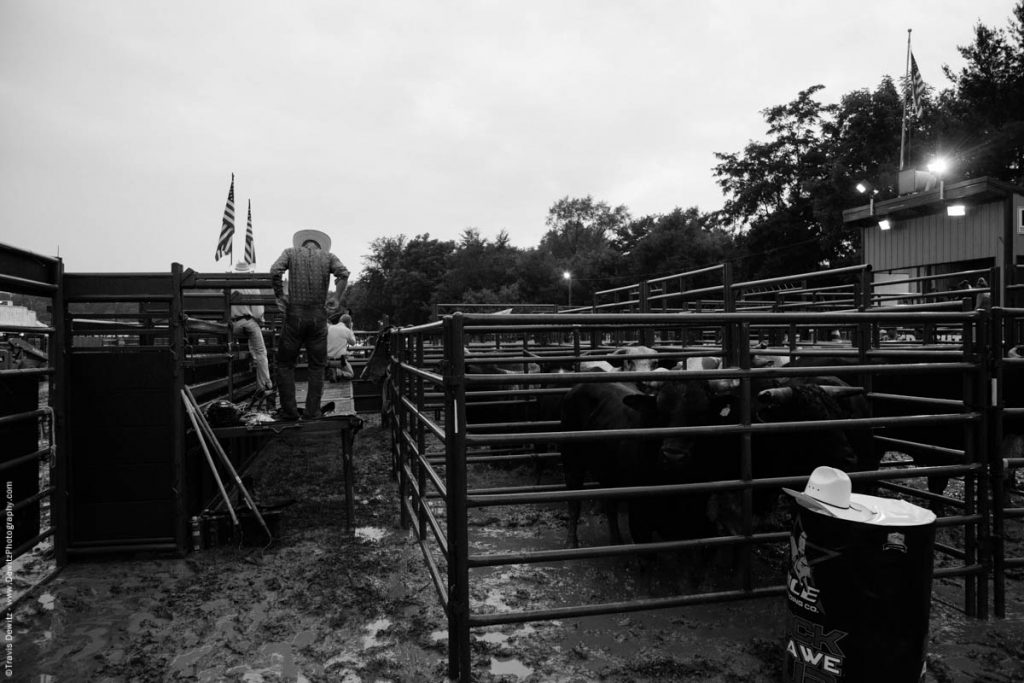 Bull Riding in the Mud Under the Lights