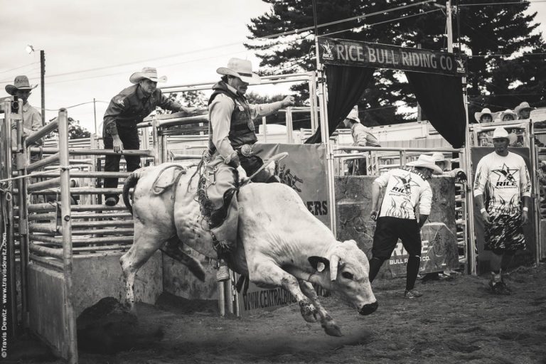 Wisconsin Rodeo Bull Riding and Barrel Racing into the Night